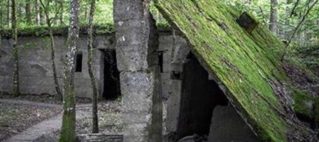 Caures-Wald – Bois des Caures
